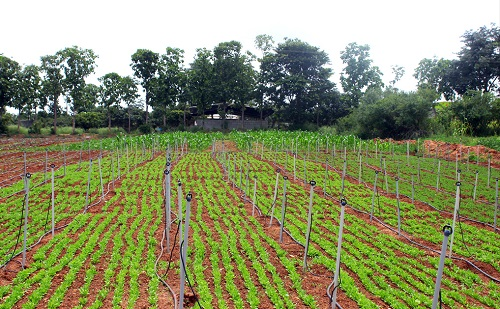 1645507881104466.png image.png