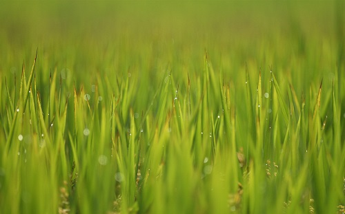 1649311780204536.png image.png