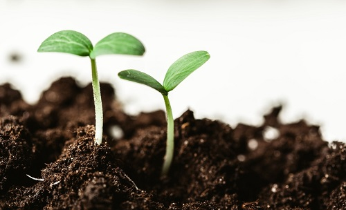 1657768424179987.png image.png