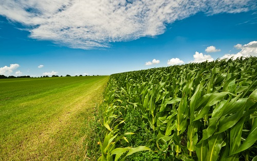 1662104679114676.png image.png