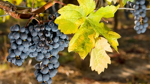 1663038299597953.png image.png