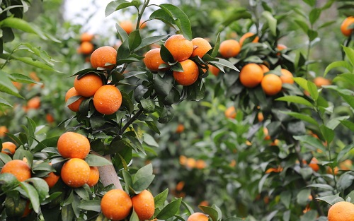 1666246506751277.png image.png