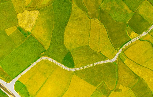 1668059189148445.png image.png