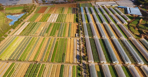 1668490163177821.png image.png