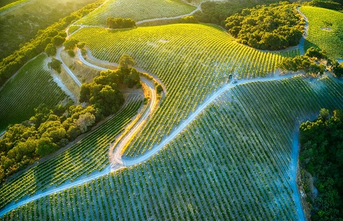 1669011899199207.png image.png