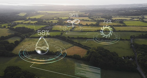 1670833801167012.png image.png