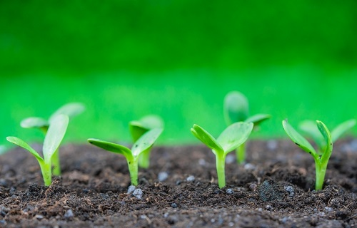 1671692718211935.png image.png