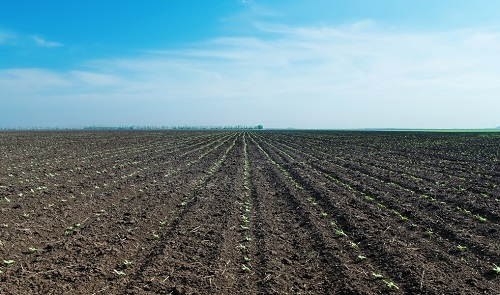 1673337280136936.png image.png