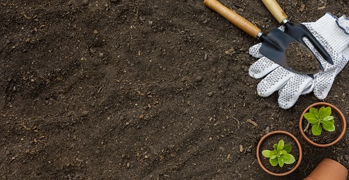 1675145444160589.png image.png