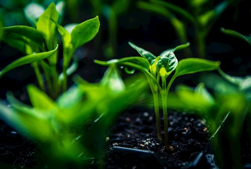 1675318685177128.png image.png