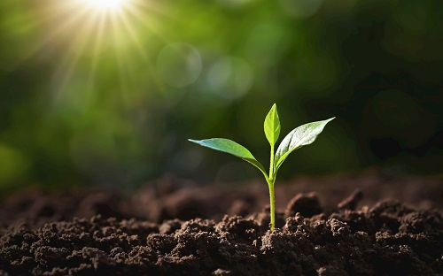 1677468491202383.png image.png