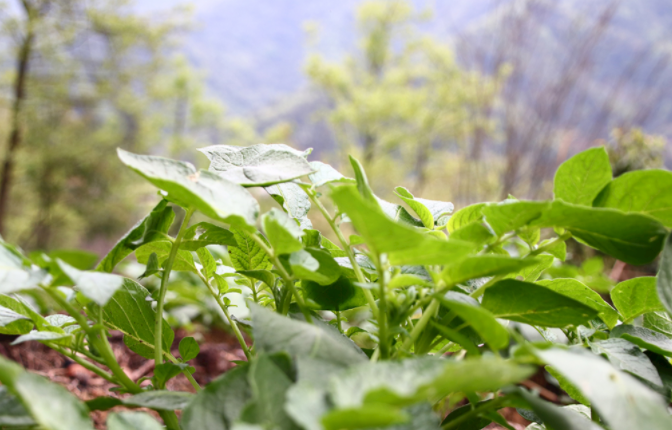 1680162268178066.png 1680162268178066.png