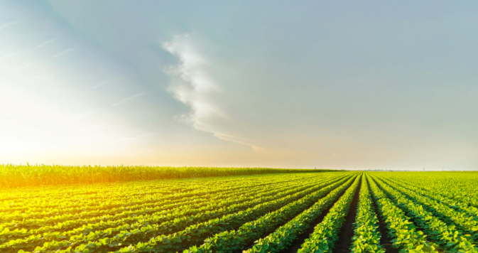 1681365175483679.png 農(nóng)業(yè)儀器