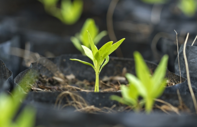 1684214980102616.png 1684214980102616.png