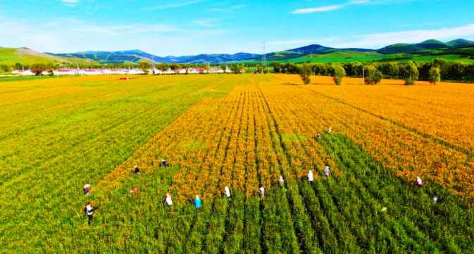 1684293660602893.png image.png